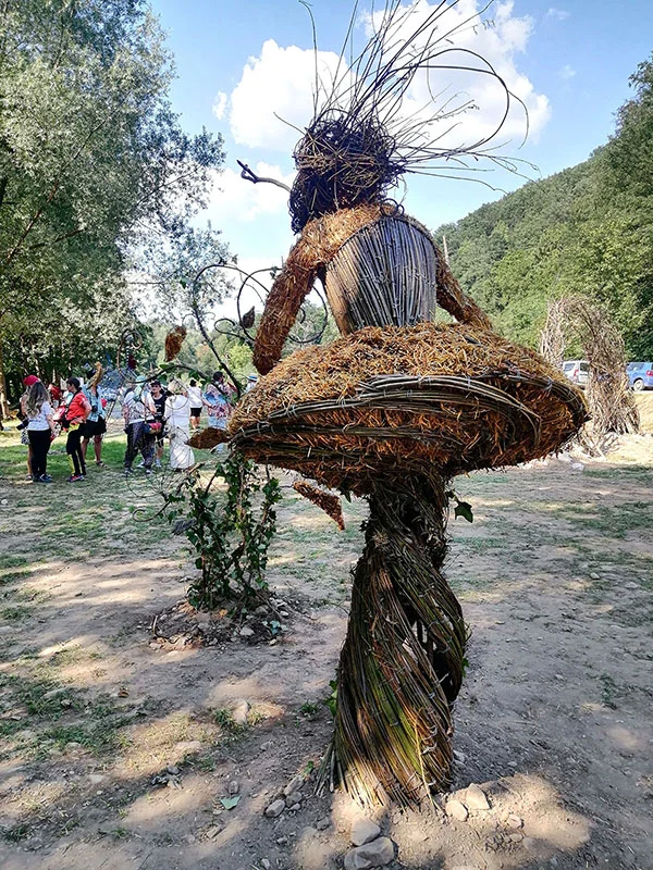 Zâna Pădurii Craiului - imagine 7