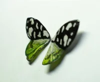 Cercei din rășină - Emerald Marble