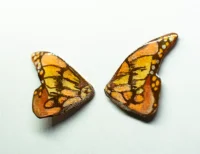 Cercei din rășină - Long wings