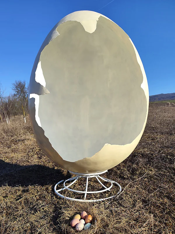 Big Bang Egg - imagine 6