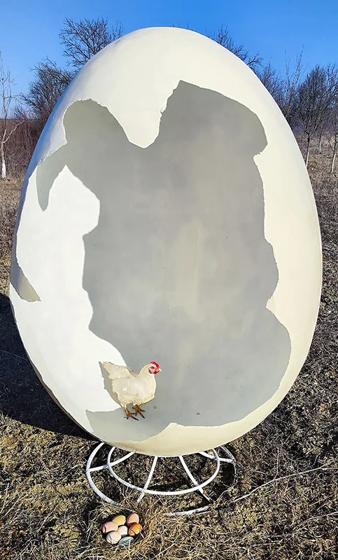 Big Bang Egg - imagine 9