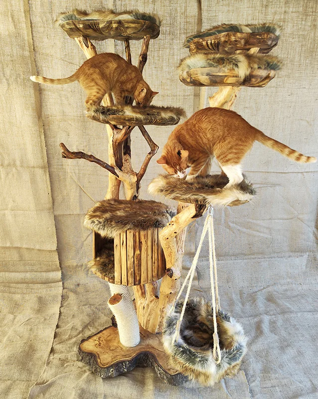 Cat tree - imagine 10