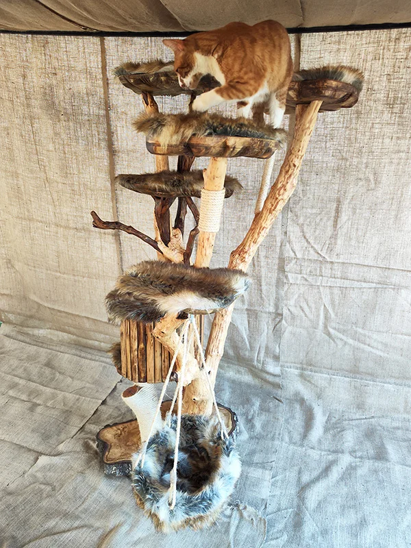 Cat tree - imagine 11