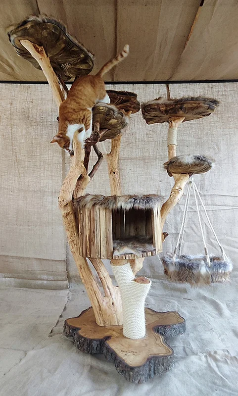 Cat tree - imagine 13