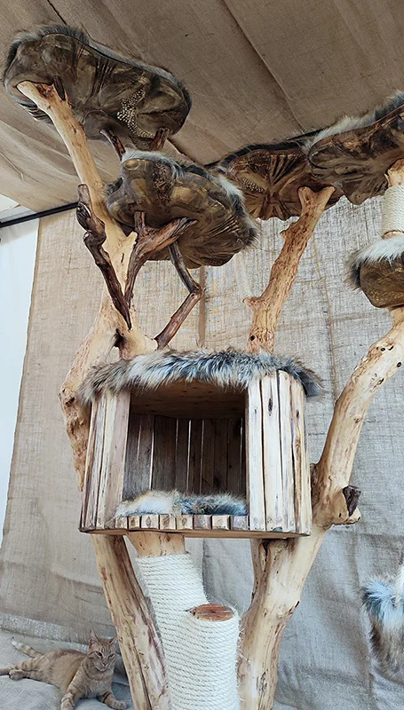 Cat tree - imagine 2