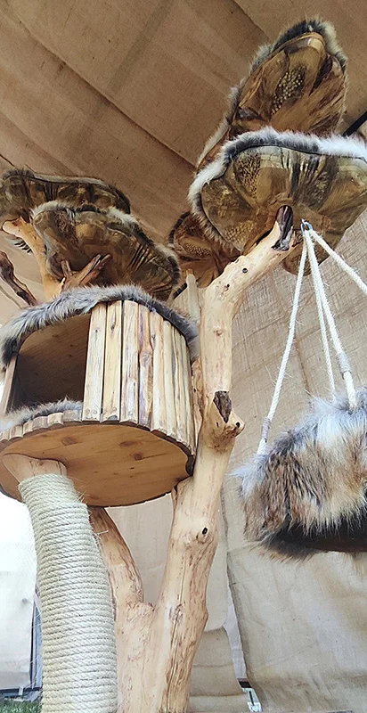 Cat tree - imagine 4