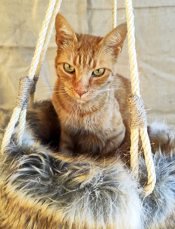 Cat tree - imagine 7