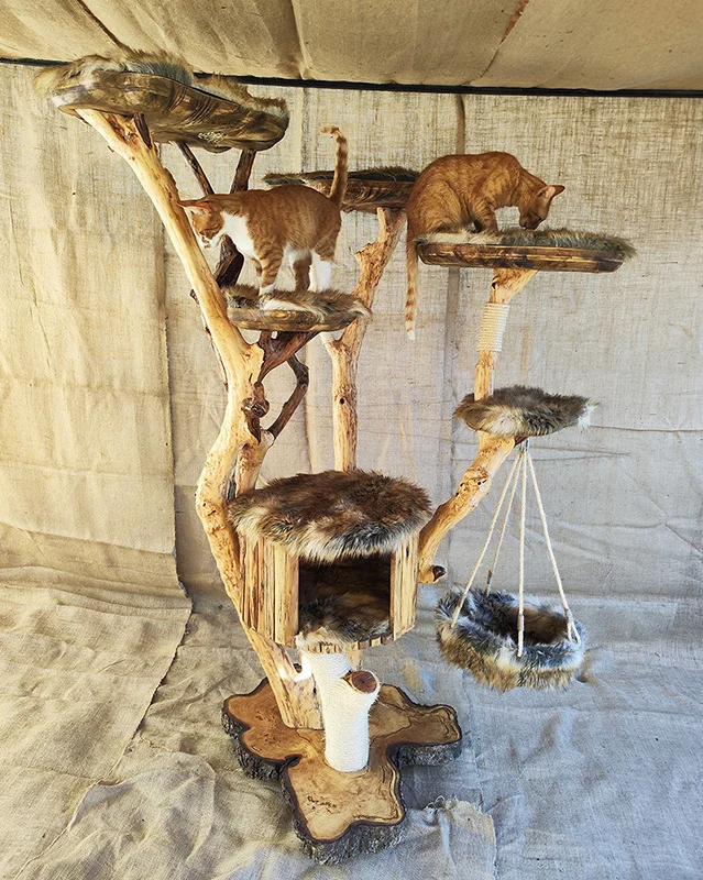Cat tree - imagine 8
