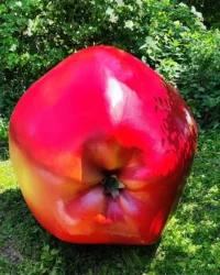 Măr roșu supradimensionat