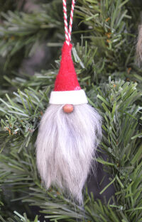 Gnomescu