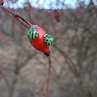 Cercei din rășină - Mămăruțe verde mint